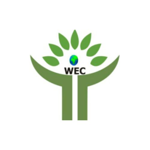 Green Standards Logo